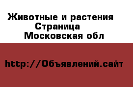  Животные и растения - Страница 4 . Московская обл.